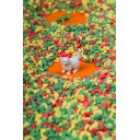 Spy Bottle Pets PETIT BOUM