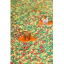 Spy Bottle Pets PETIT BOUM