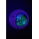 Sensory Moon PETIT BOUM