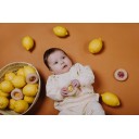 Sensory Donuts Lemons PETIT BOUM