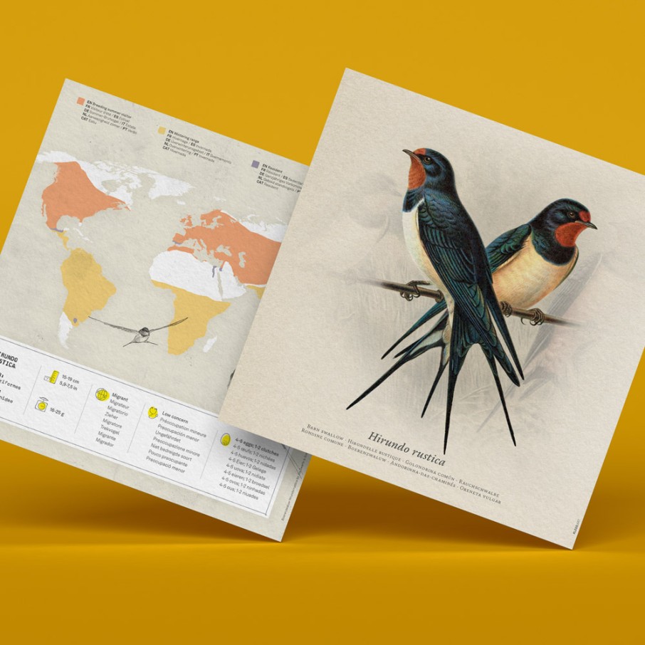 Golondrina Origami (Plego Paper)