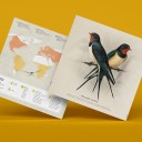 Golondrina Origami (Plego Paper)