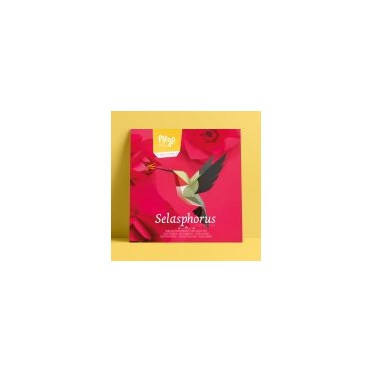 Colibrí coliancho Origami (Plego Paper) 2