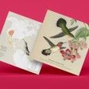 Colibrí coliancho Origami (Plego Paper)