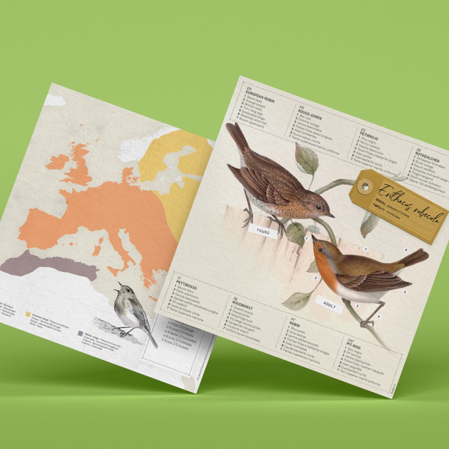 Petirrojo Origami (Plego Paper)