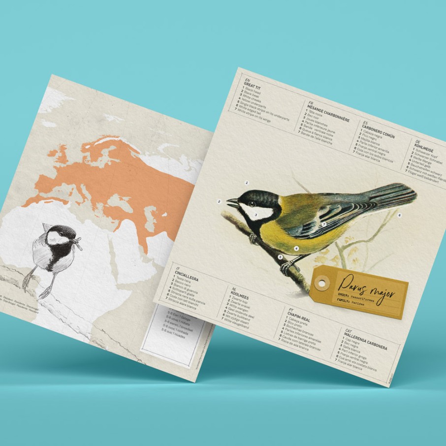 Carbonero Origami (Plego Paper)