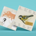 Carbonero Origami (Plego Paper)