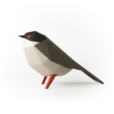 Curruca Cabecinegra Origami (Plego Paper)
