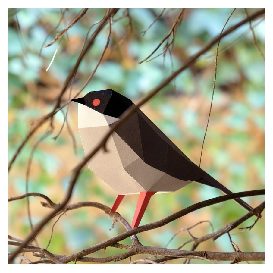 Curruca Cabecinegra Origami (Plego Paper)
