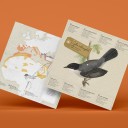 Curruca Cabecinegra Origami (Plego Paper)