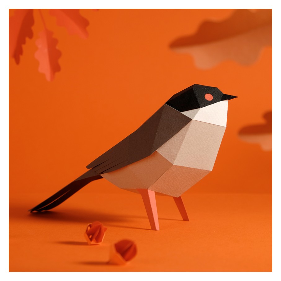 Curruca Cabecinegra Origami (Plego Paper)