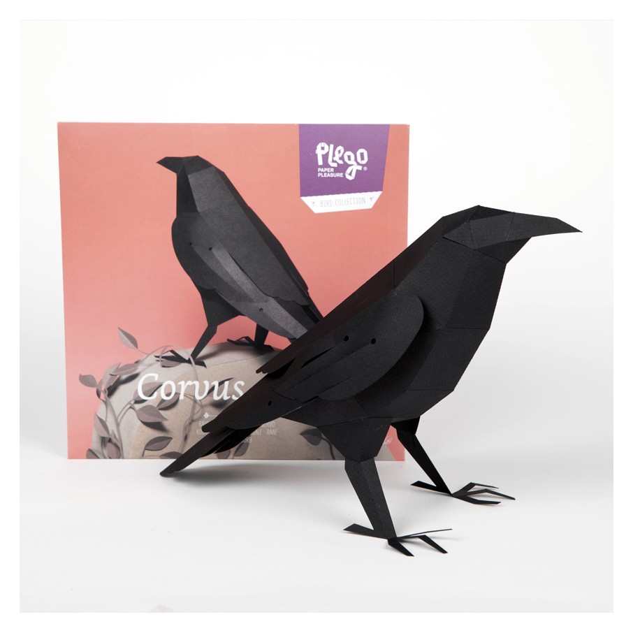 Cuervo Origami (Plego Paper)