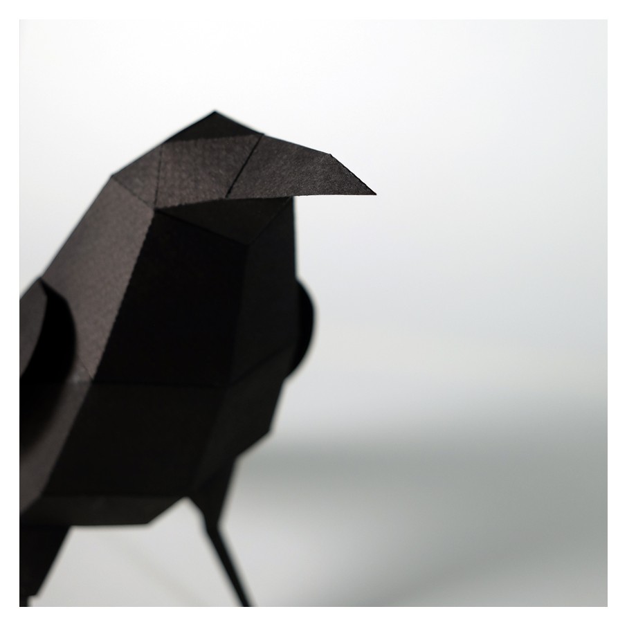 Cuervo Origami (Plego Paper)