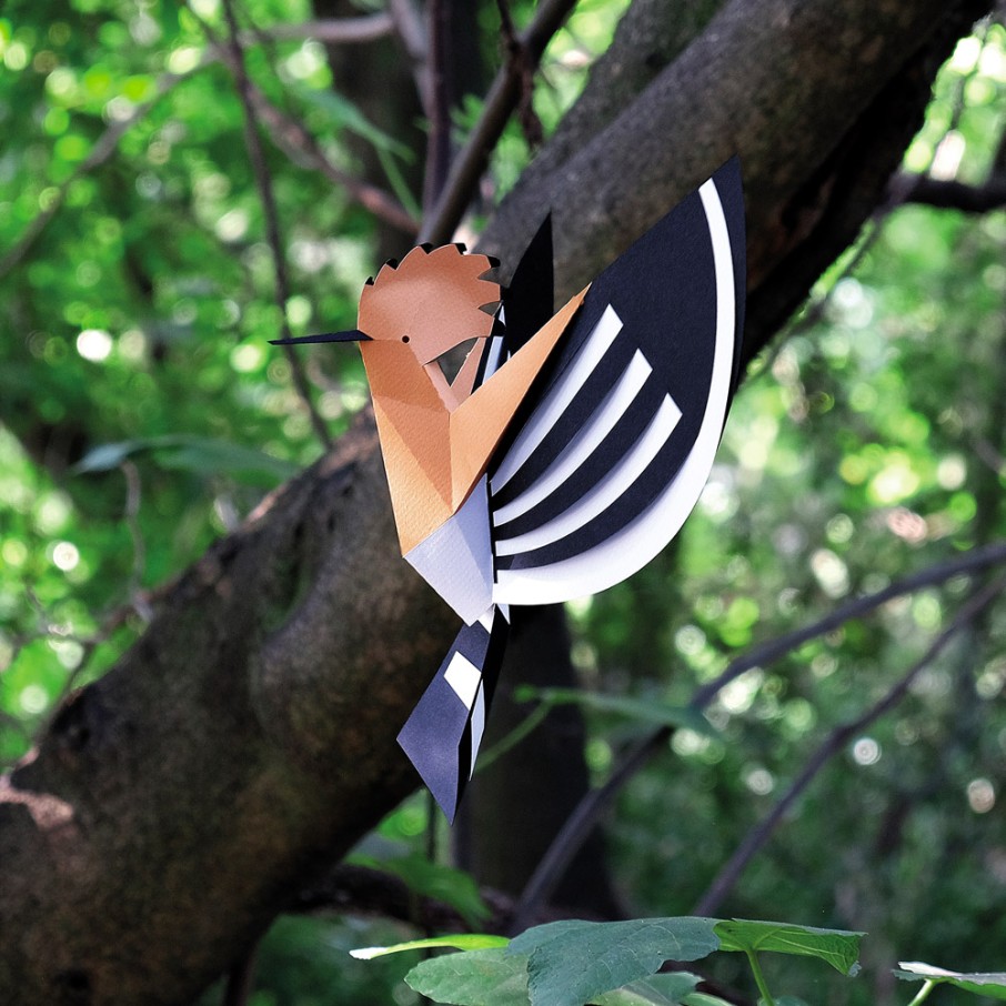 Abubilla Origami (Plego Paper)