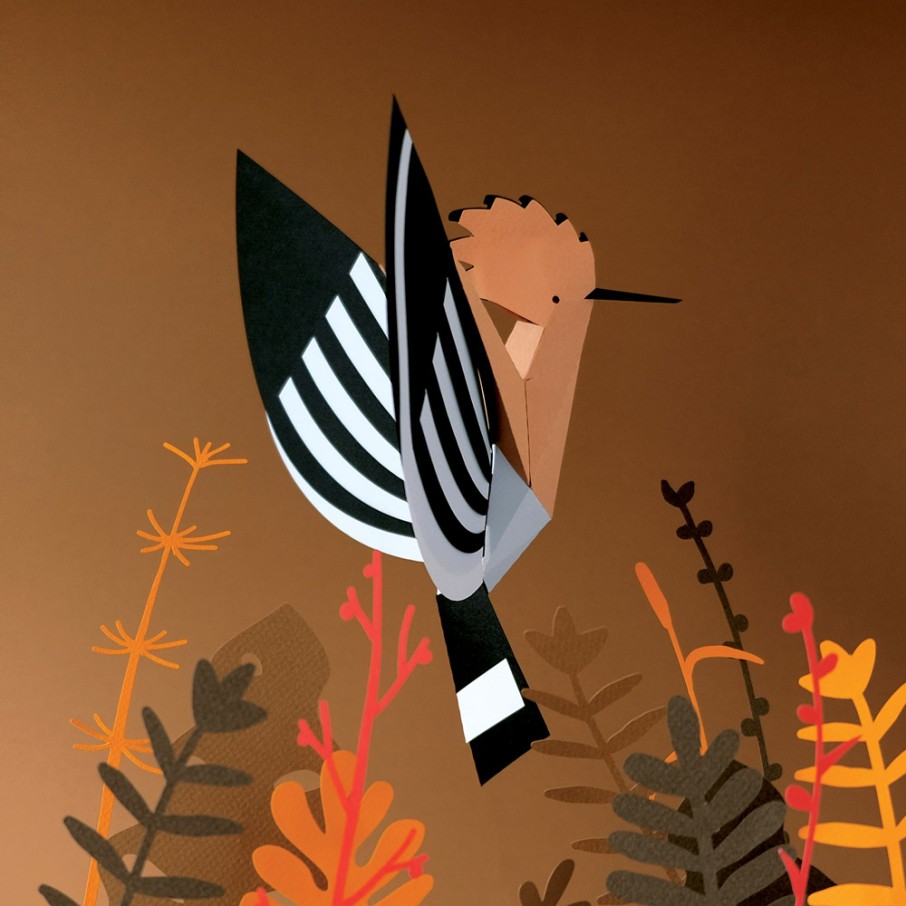 Abubilla Origami (Plego Paper)