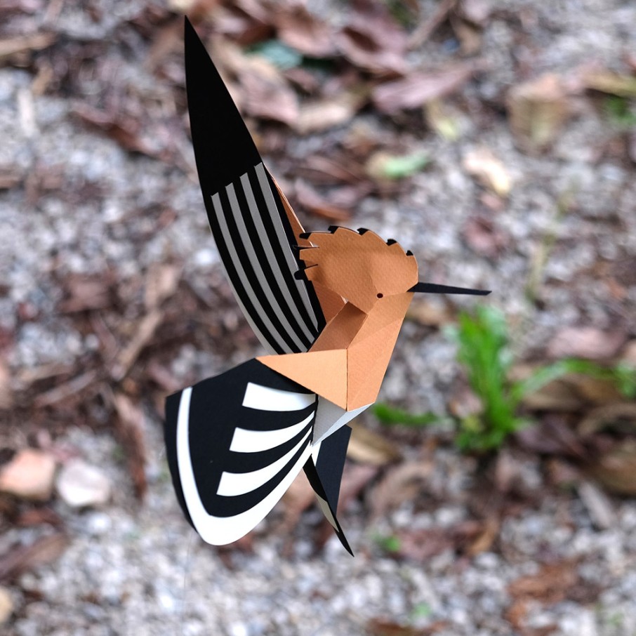 Abubilla Origami (Plego Paper)