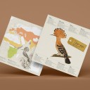 Abubilla Origami (Plego Paper)