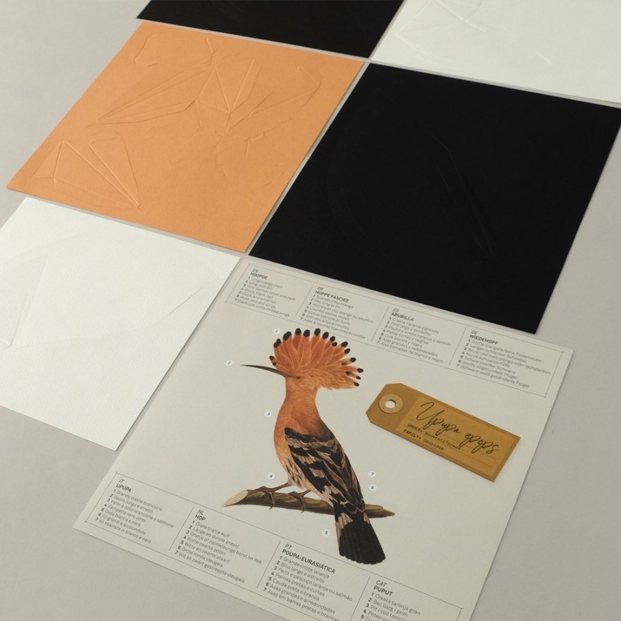 Abubilla Origami (Plego Paper)