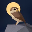 Mochuelo Origami (Plego Paper)