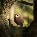 Mochuelo Origami (Plego Paper)