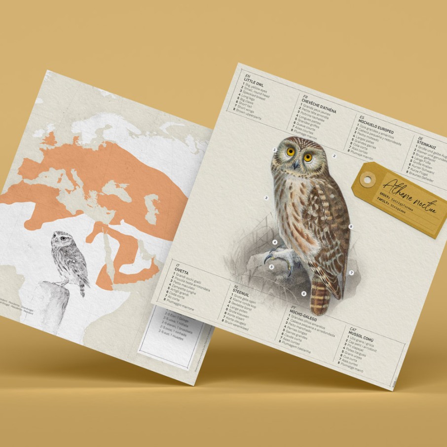 Mochuelo Origami (Plego Paper)