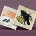 Halcón Peregrino Origami (Plego Paper)