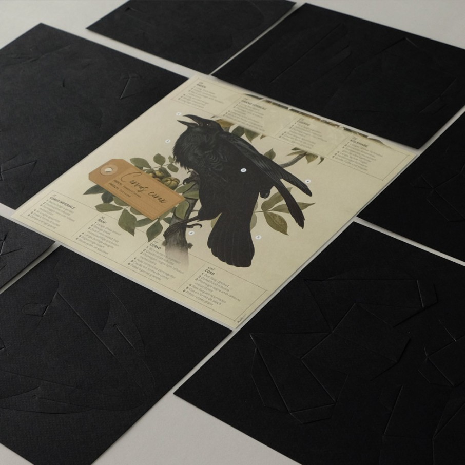 Cuervo Origami (Plego Paper)