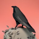 Cuervo Origami (Plego Paper)