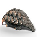Eugy 110 Pangolin