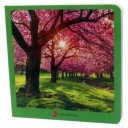 Primavera (Nowordbooks)