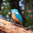 Martín pescador - Alcedo attis (Plego Paper)