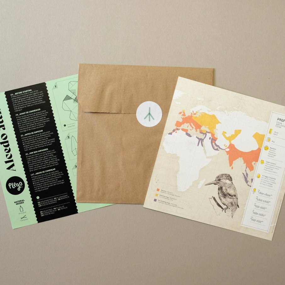 Martín pescador - Alcedo attis (Plego Paper)