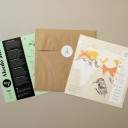 Martín pescador - Alcedo attis (Plego Paper)