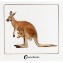 Animales salvajes y sus crías (Nowordbooks)