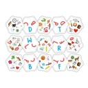 Enlaza letras (FlexiQ)