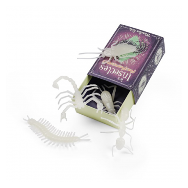 5 insectos fosforescentes (Moulin Roty) 2