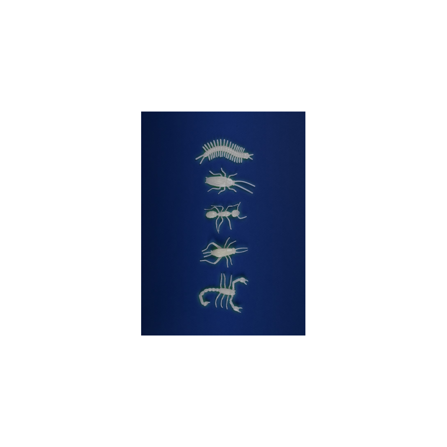 5 insectos fosforescentes (Moulin Roty)