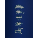 5 insectos fosforescentes (Moulin Roty)