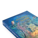 Calendario de adviento la gran familia (Moulin Roty)