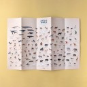 Animal world, poster & stickers (Londji)