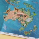 Animal world, poster & stickers (Londji)