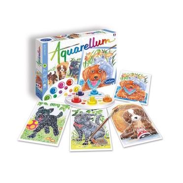 Aquarellum junior perros (Sentosphère) 2
