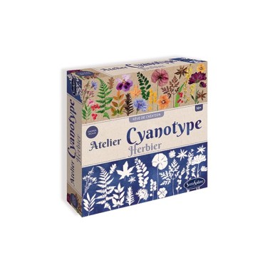 Atelier de cianotipia (Sentosphère) 2