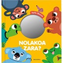 Nolakoa zara? (Ispilu liburua)