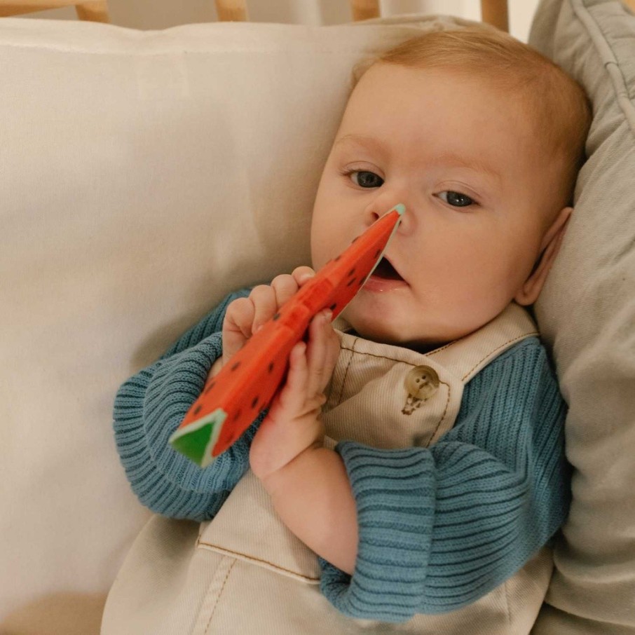 Mordedor Wally la sandía (Oli & Carol)