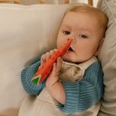 Mordedor Wally la sandía (Oli & Carol)