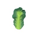 Mordedor Kendall la kale (Oli & Carol)