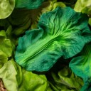 Mordedor Kendall la kale (Oli & Carol)