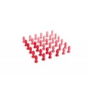 MANDALA PÉTALOS (Grapat)