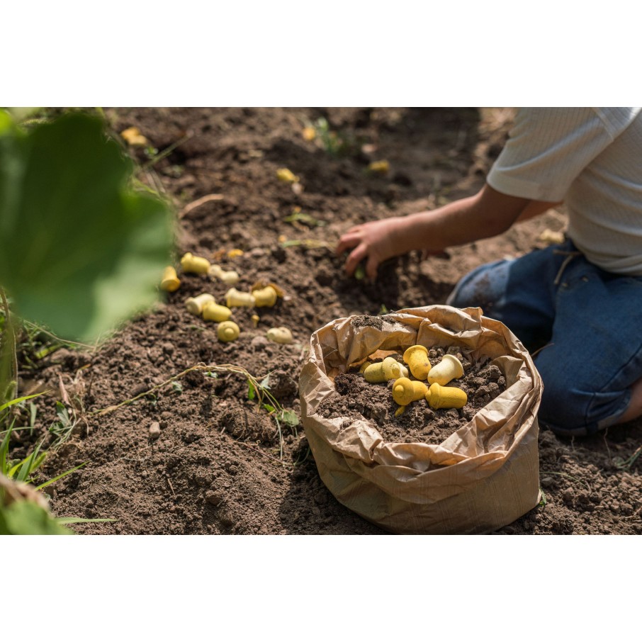 MANDALA TULIPA (Grapat)